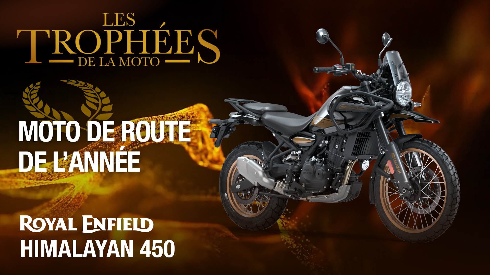 Himalayan 450 : la grande gagnante dans la catégorie Moto de route de l'année