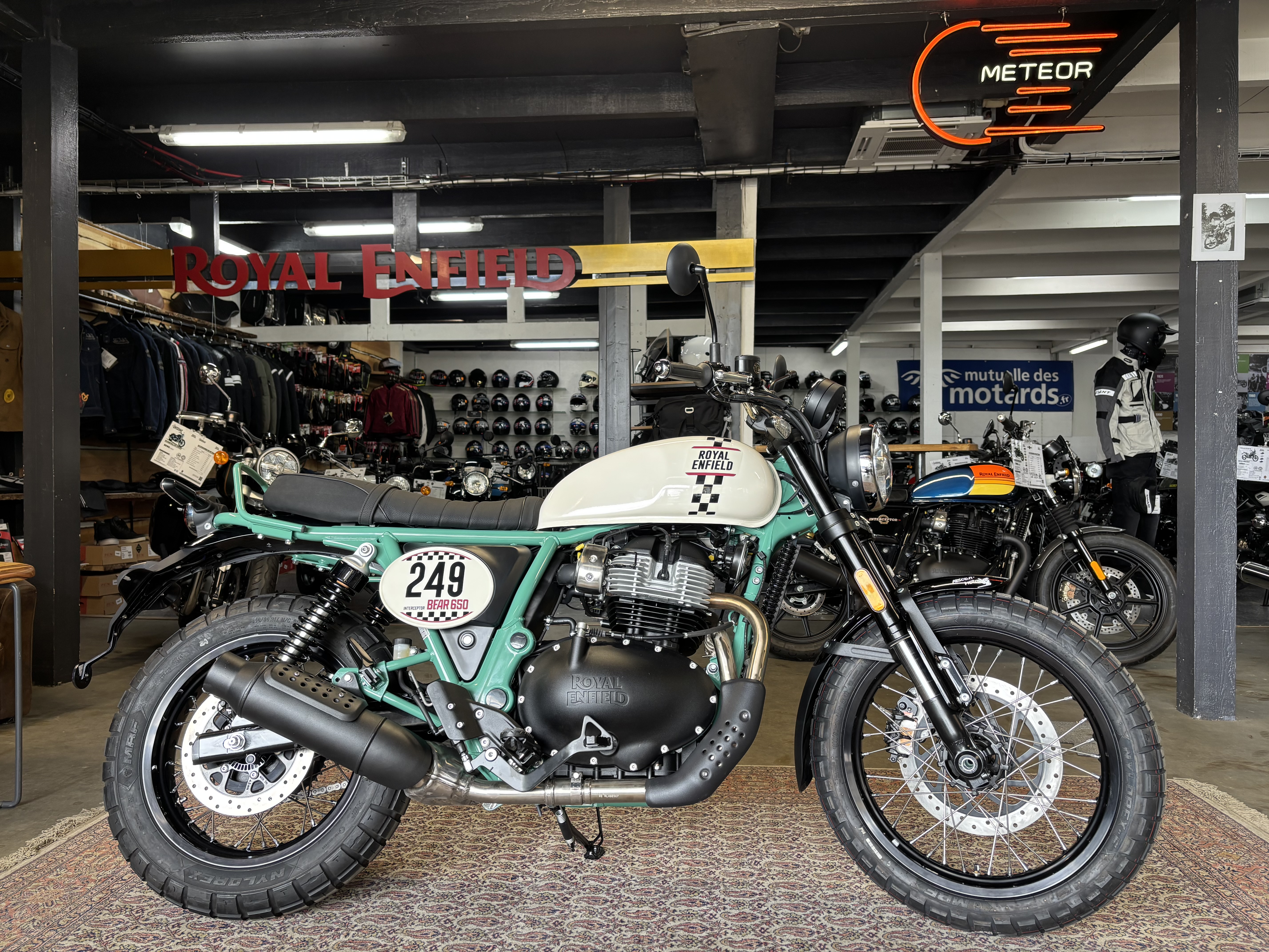 ROYAL ENFIELD 650 Bear Two Four Nine